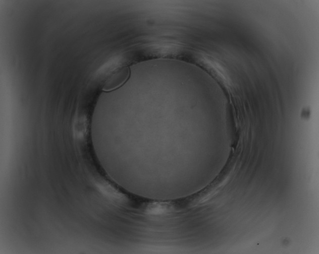 X0000102520077200808081437