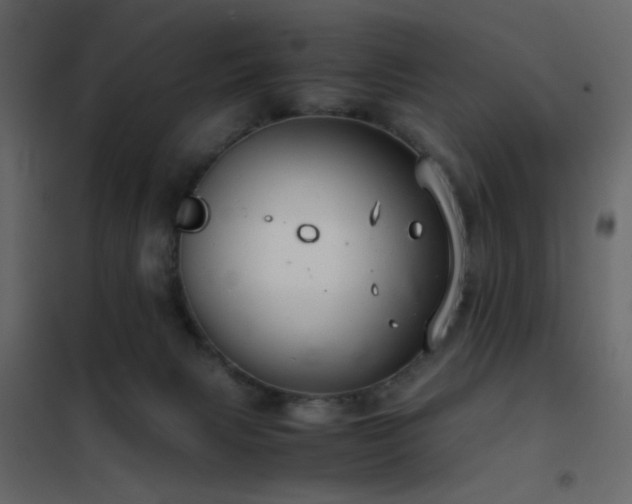 X0000102520079200808081437