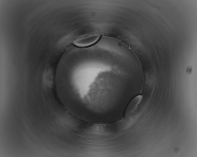 X0000102520080200808081437