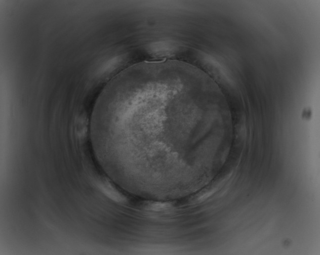 X0000102520081200808081437