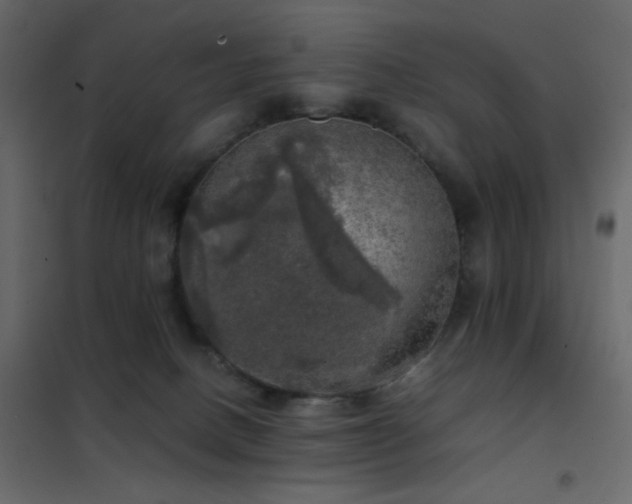 X0000102520082200808081437