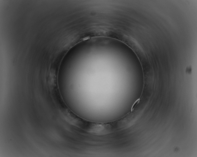 X0000102520083200808081437