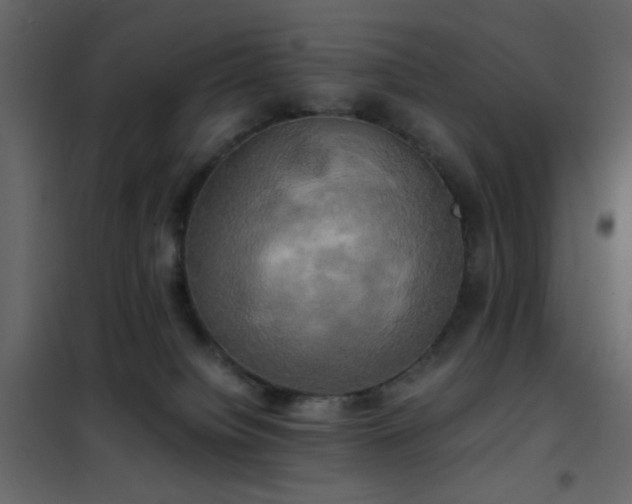 X0000102520084200808081437