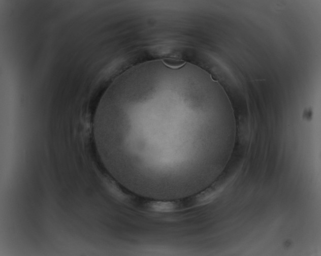 X0000102520085200808081437