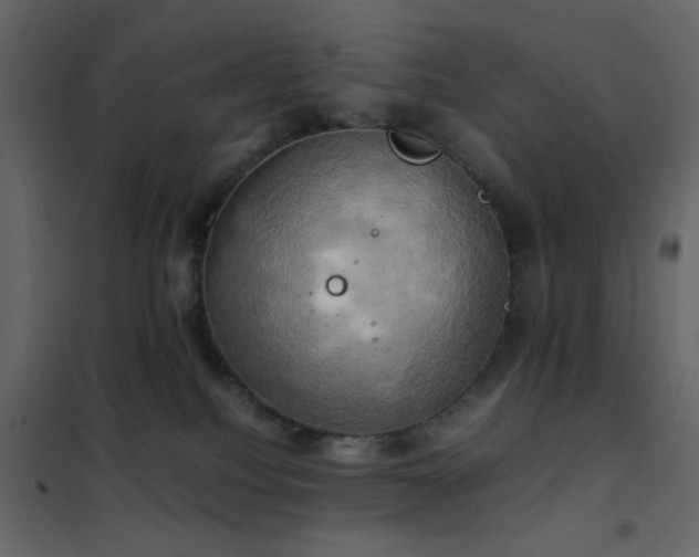 X0000102520088200808081437