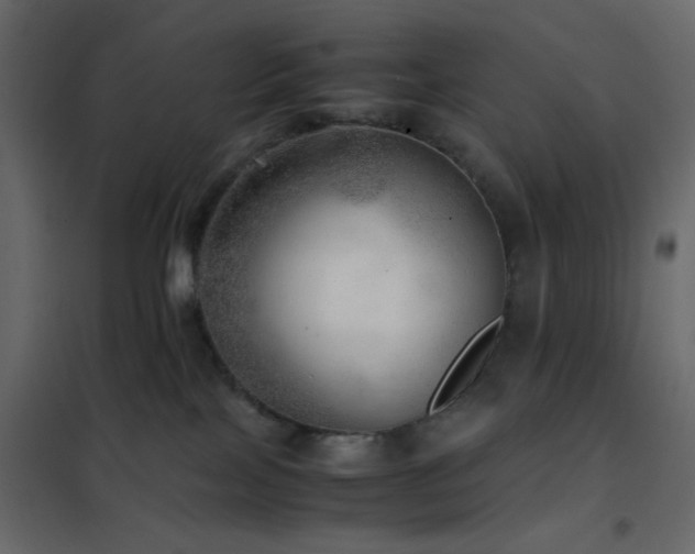 X0000102520089200808081437