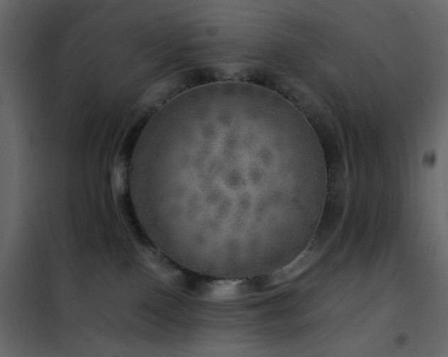 X0000102520090200808081437