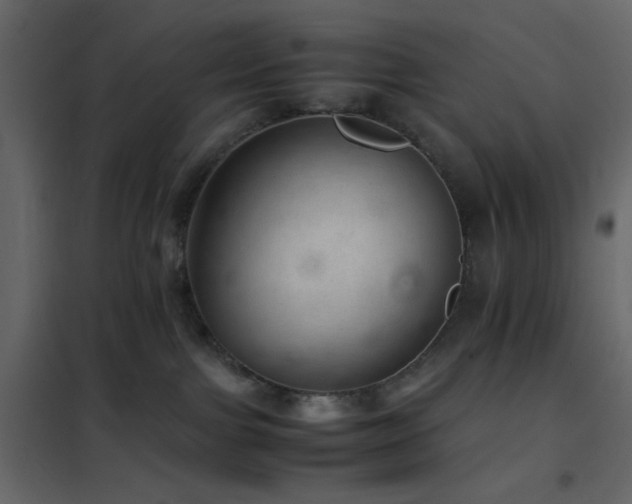 X0000102520091200808081437