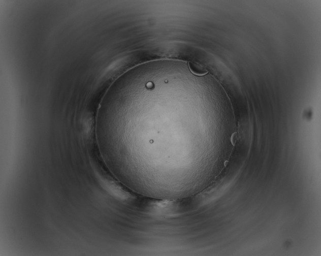 X0000102520092200808081437