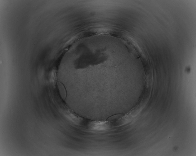 X0000102520093200808081437