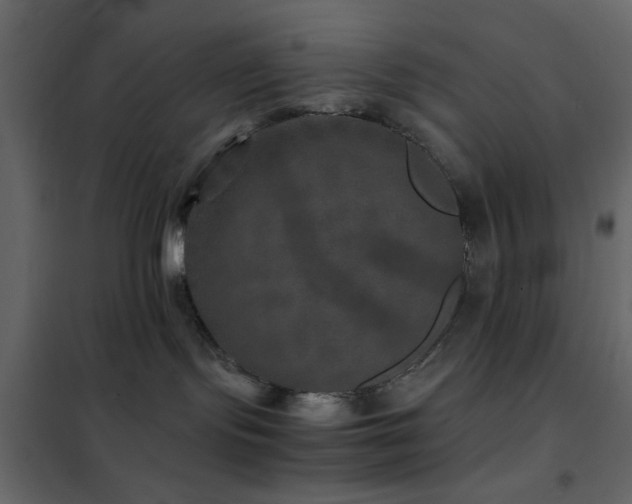 X0000102520095200808081437