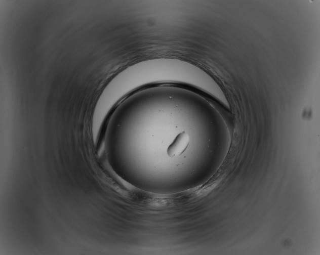 X0000102520096200808081437