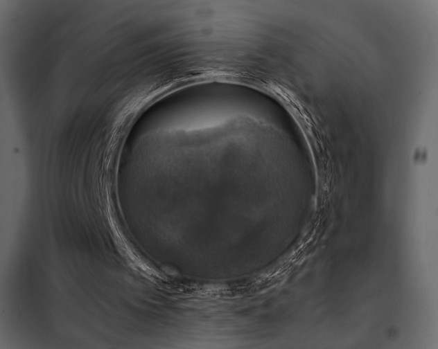 X0000102520097200808081437