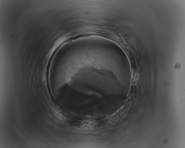 X0000102520099200808081437