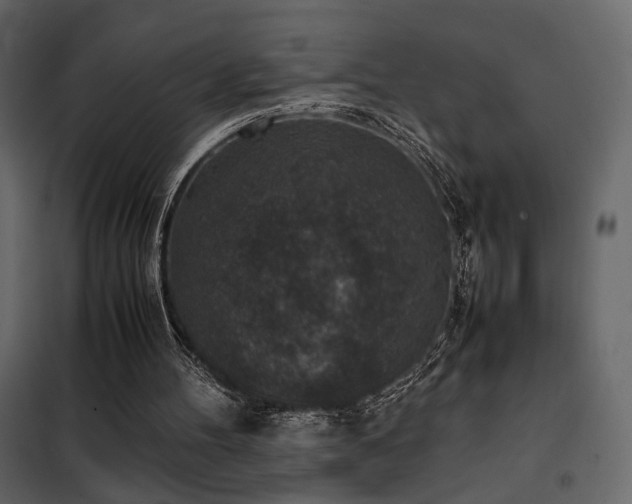 X0000102520100200808081437