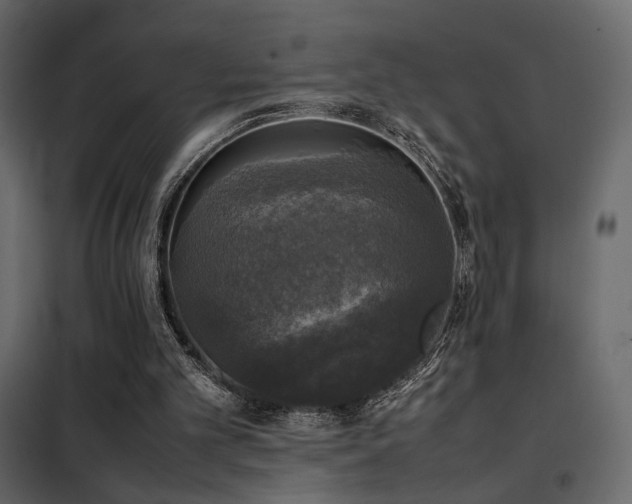 X0000102520101200808081437