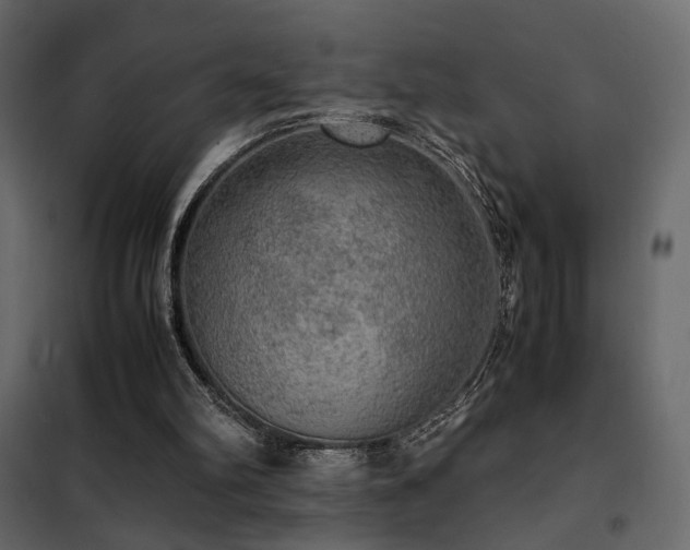 X0000102520102200808081437