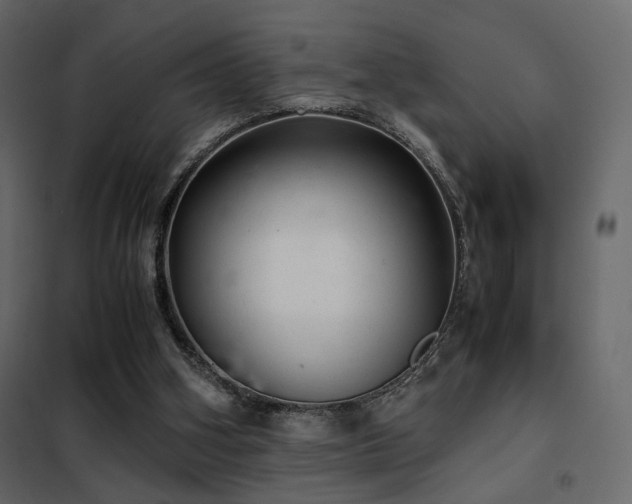 X0000102520106200808081437