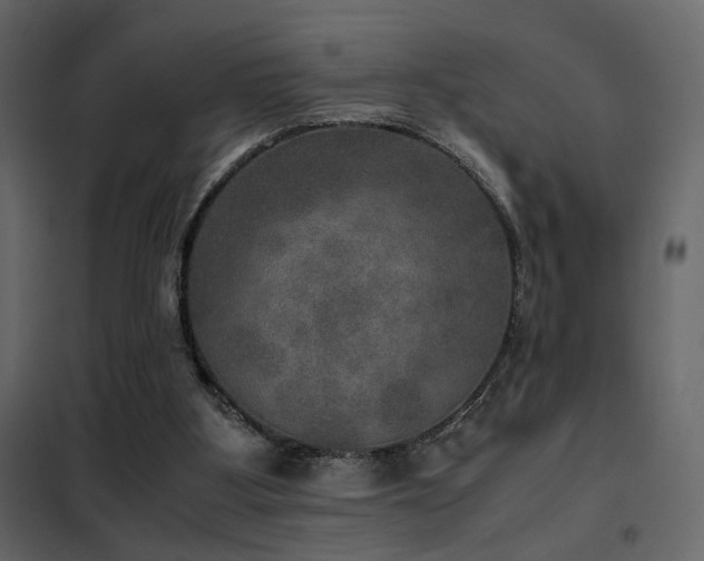 X0000102520107200808081437