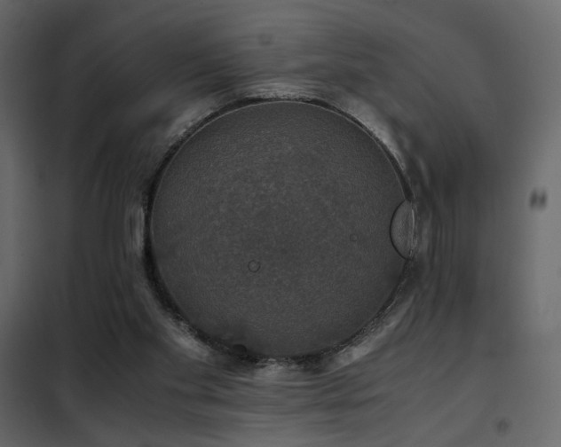 X0000102520109200808081437