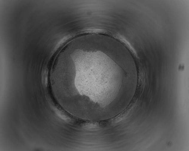 X0000102520110200808081437