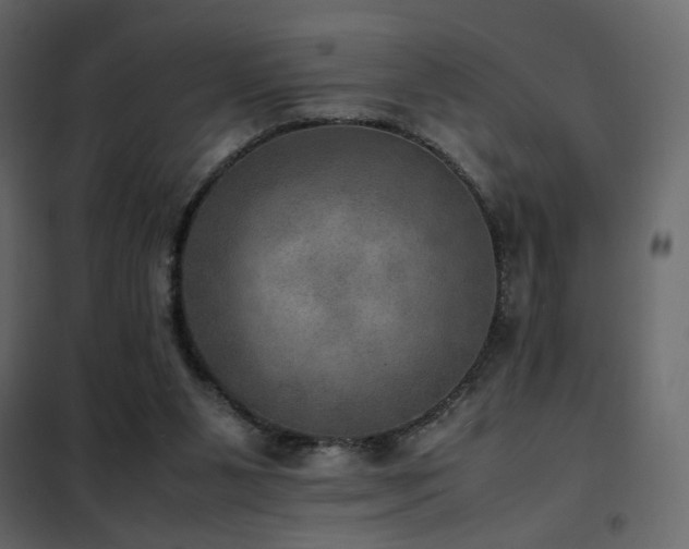 X0000102520111200808081437