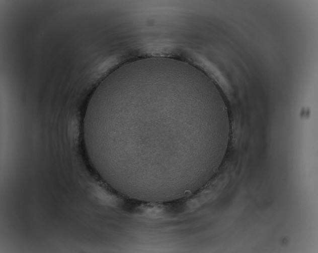 X0000102520113200808081437