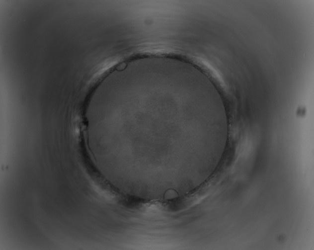 X0000102520115200808081436