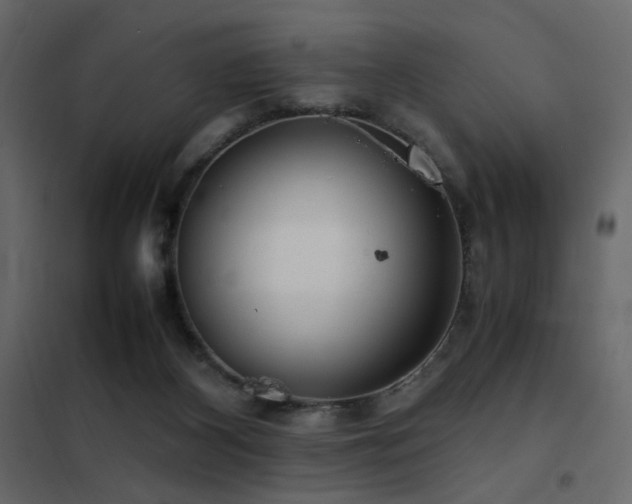 X0000102520116200808081436