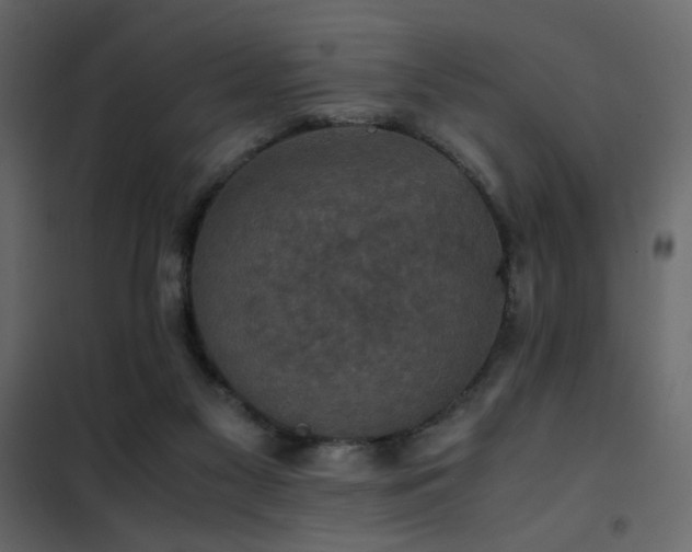 X0000102520117200808081436