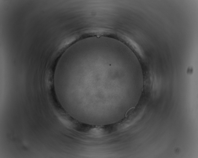 X0000102520119200808081436