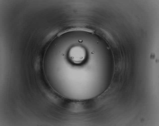 X0000102520120200808081436