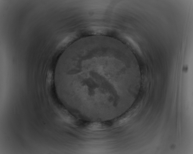 X0000102520123200808081436