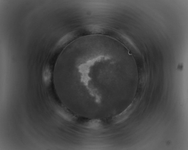 X0000102520124200808081436