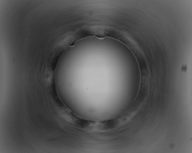 X0000102520125200808081436