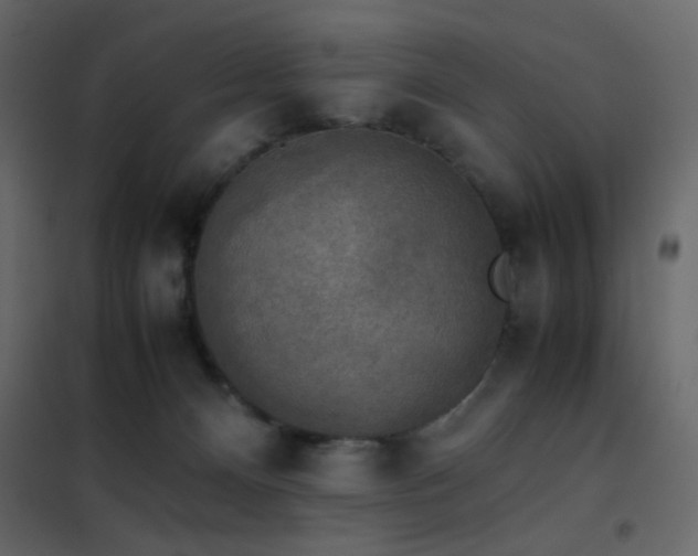 X0000102520128200808081436