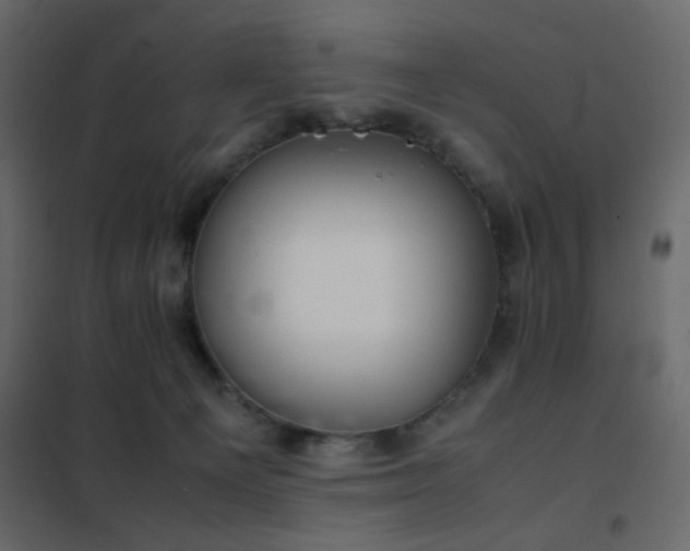 X0000102520129200808081436