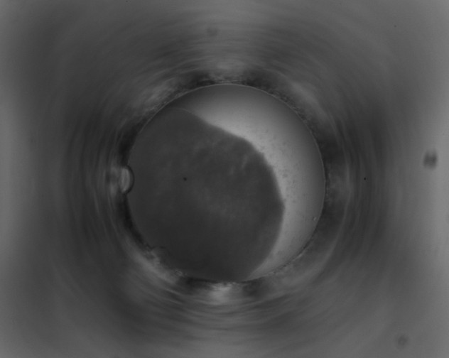 X0000102520130200808081436