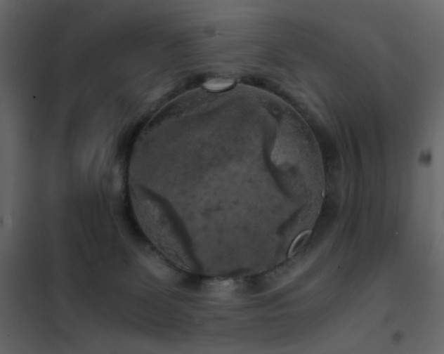 X0000102520131200808081436