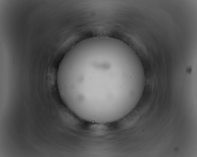 X0000102520133200808081436