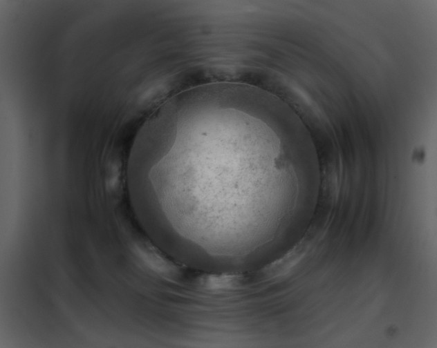 X0000102520134200808081436