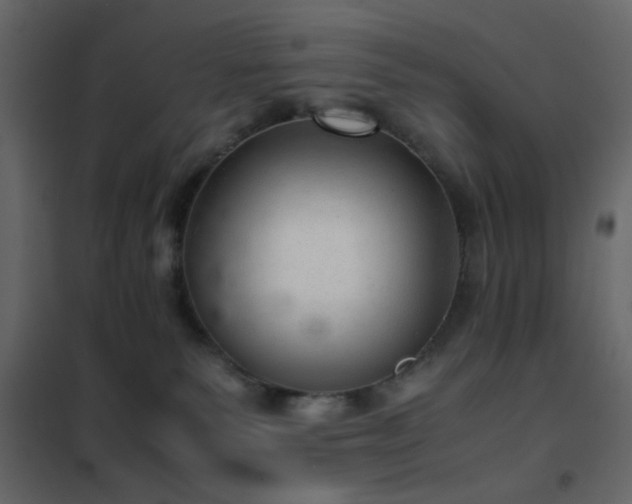 X0000102520135200808081436