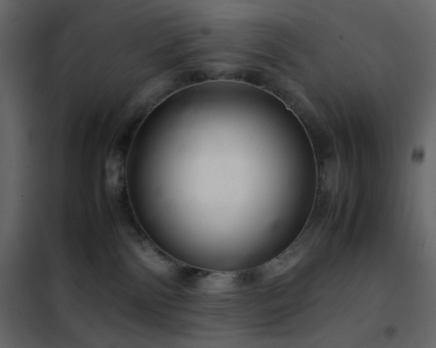 X0000102520138200808081436