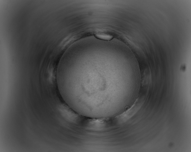 X0000102520140200808081436