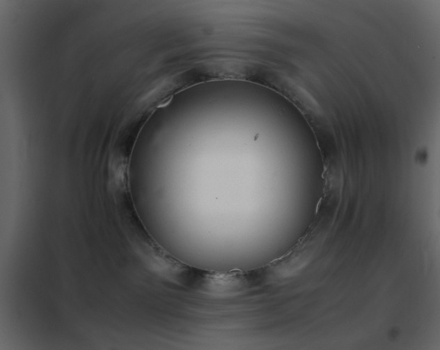 X0000102520141200808081436