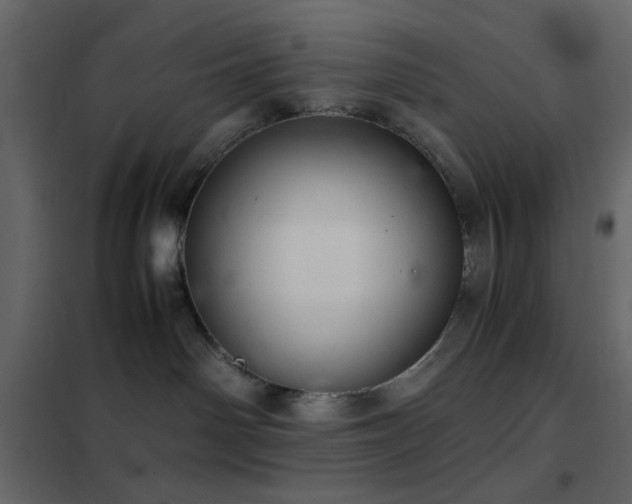 X0000102520142200808081436