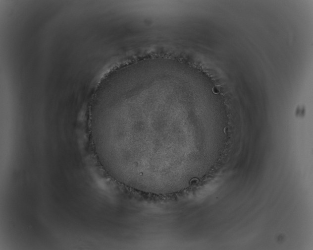 X0000102520144200808081436