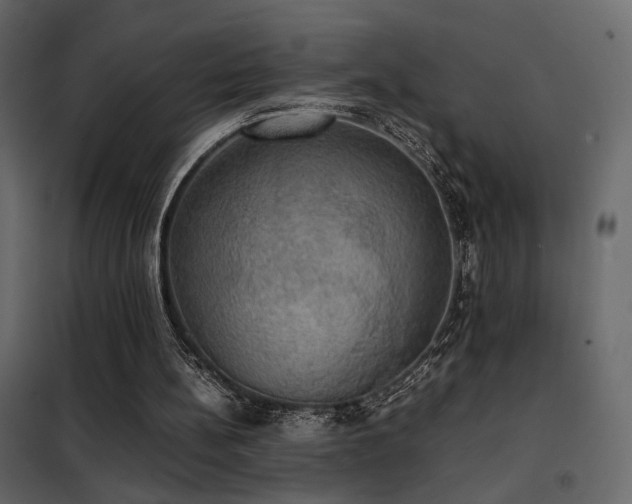 X0000102520148200808081435