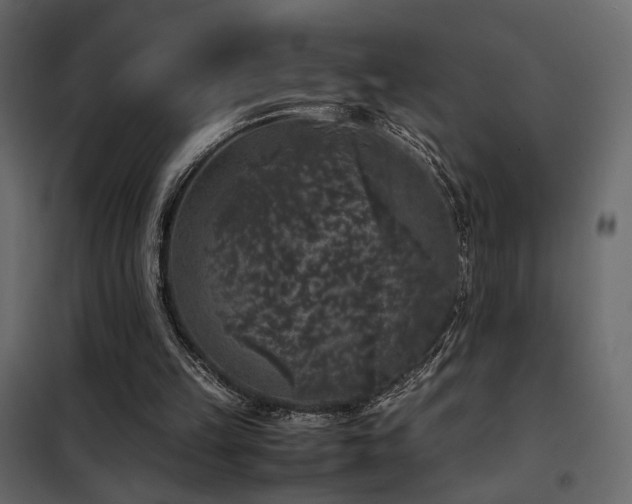 X0000102520149200808081435