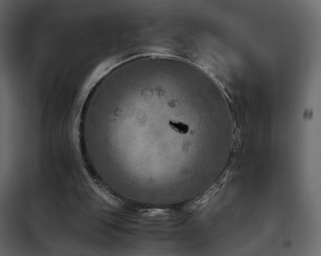 X0000102520151200808081435